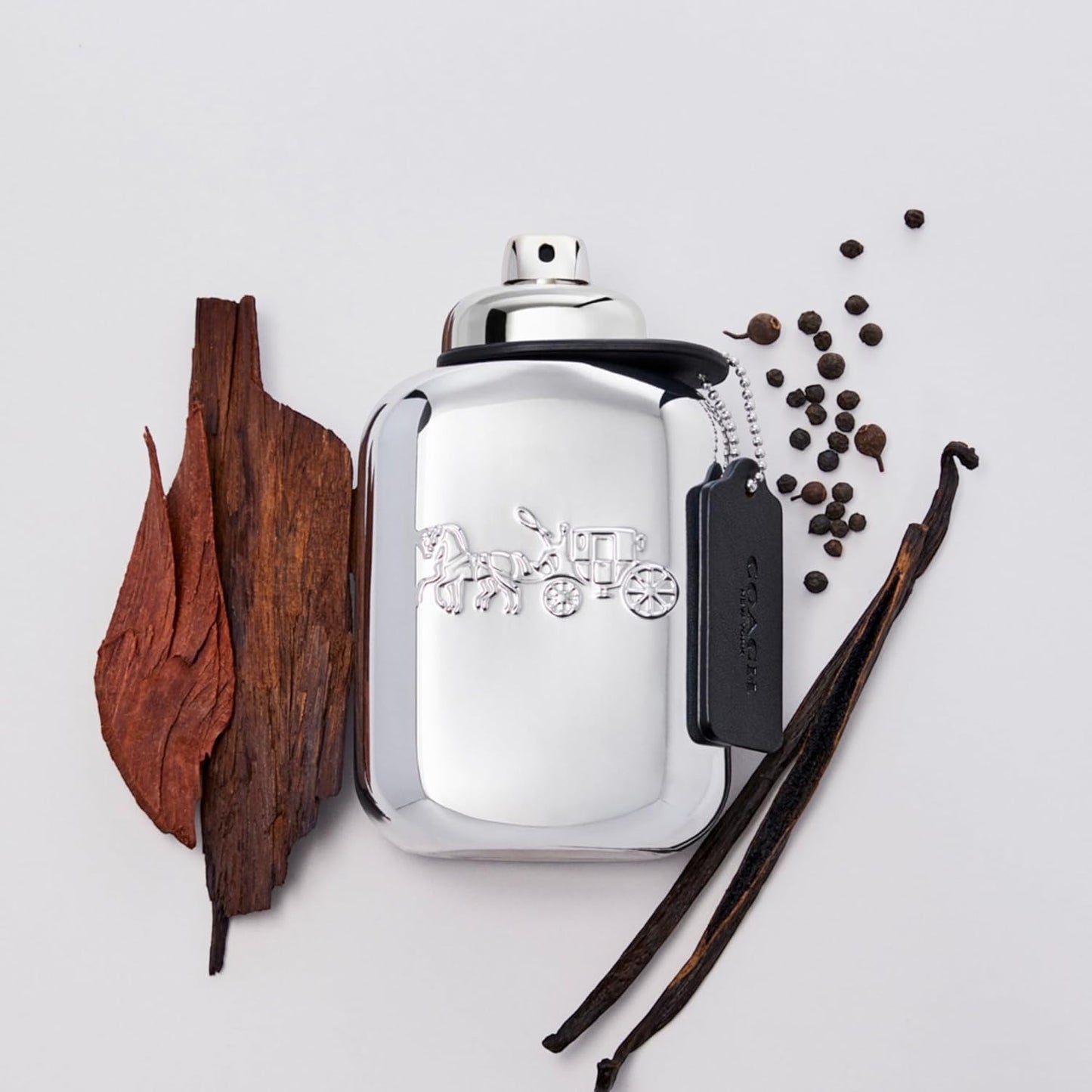 Coach Platinum EdP, Linie: Platinum, Eau de Parfum für Herren, Inhalt: 100ml