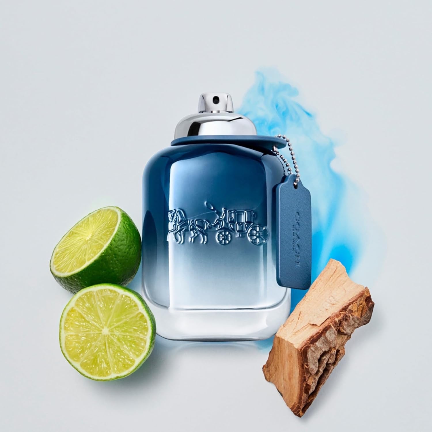 Coach Blue EdT, Linie: Blue, Eau de Toilette für Herren, Inhalt: 100ml