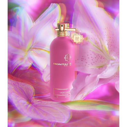 Nova Engel Lucky Candy Edp V100 ml