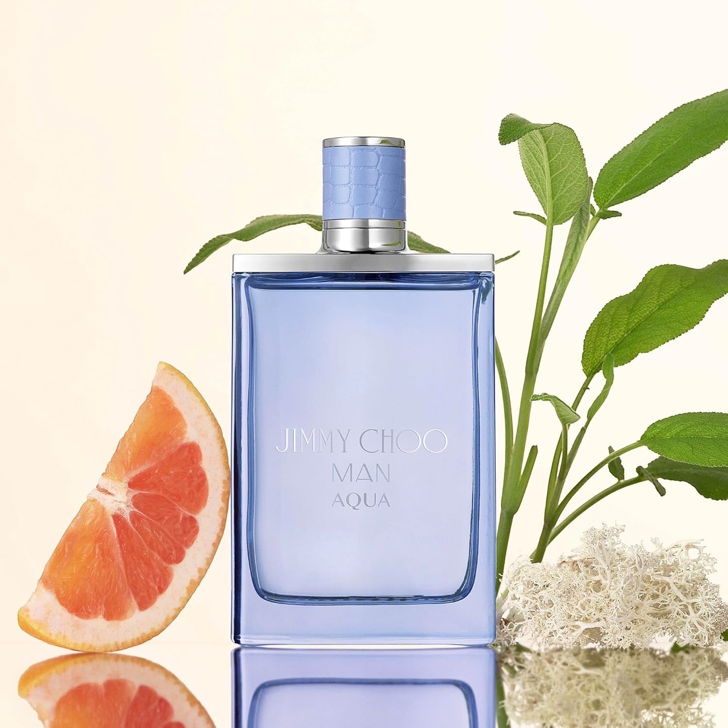 Jimmy Choo Man Aqua EdT, Linie: Man Aqua, Eau de Toilette für Herren, Inhalt: 30ml