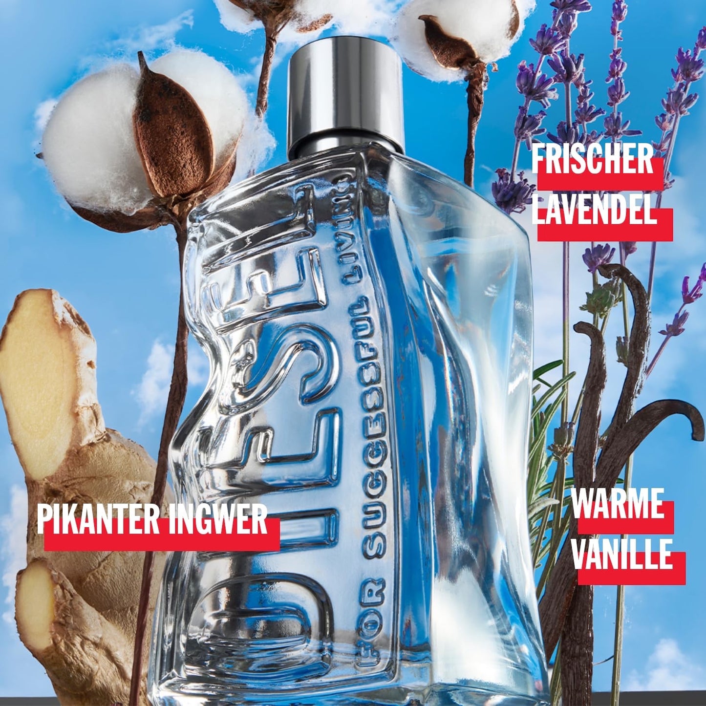 D by Diesel Set | Unisex | Parfum für Damen und Herren | Eau de Toilette 30ml mit Duschgel 75ml | 2-teilig