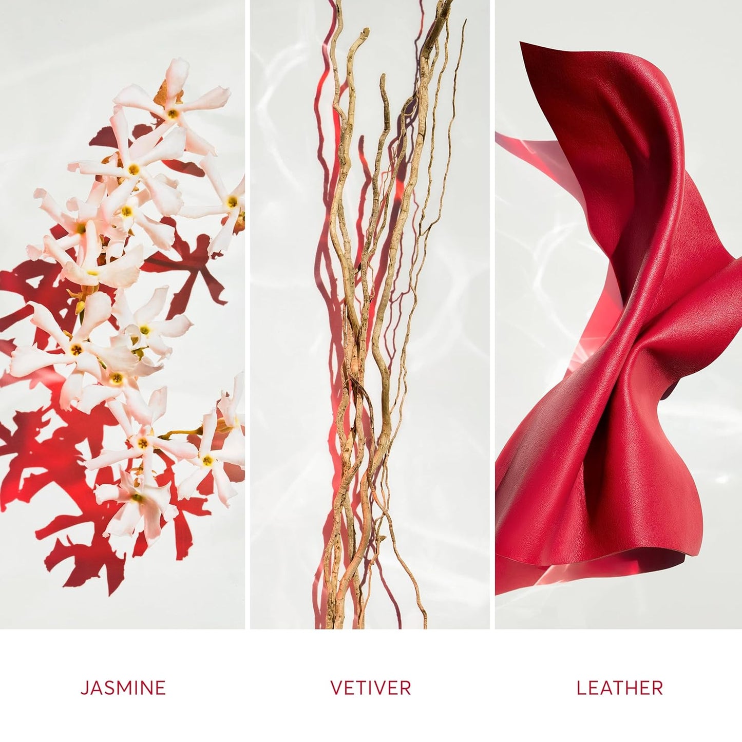 Boss ALIVE Parfum for Women