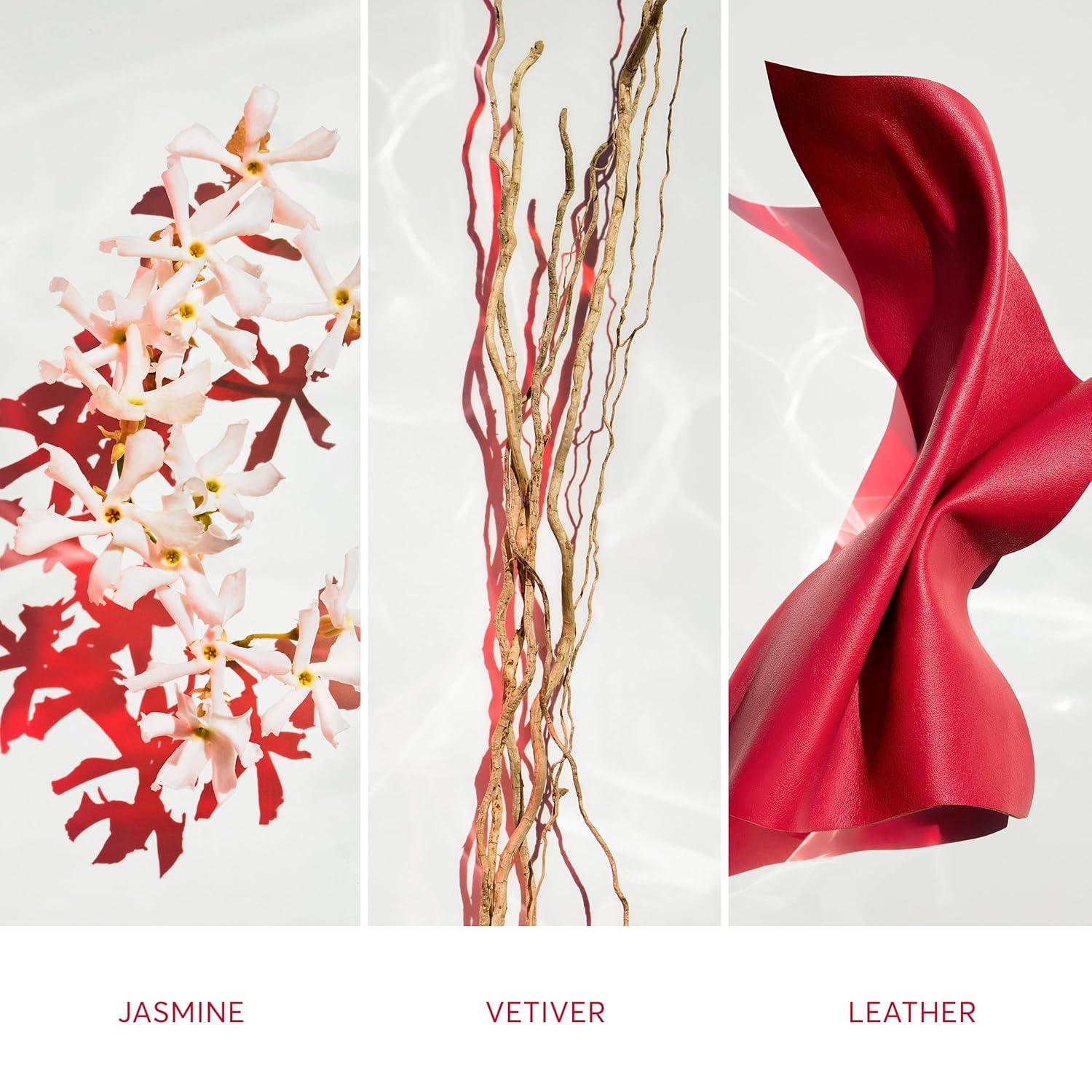 Boss ALIVE Parfum for Women