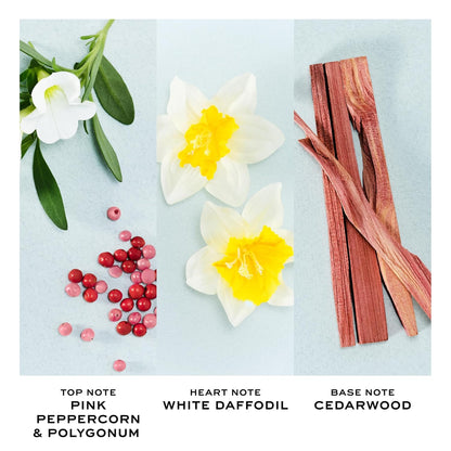 MARC JACOBS Perfect Eau de Toilette 100 ml