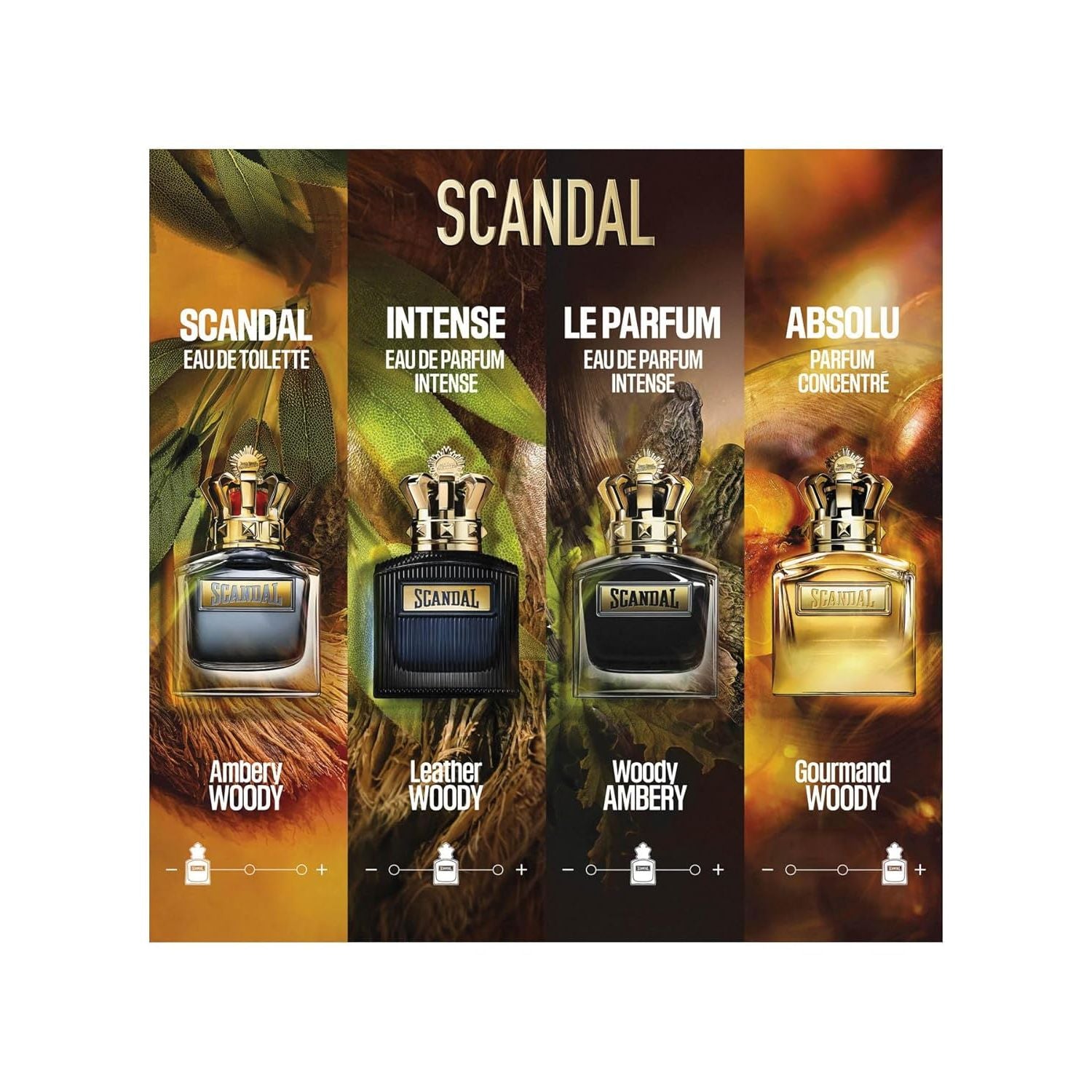 JEAN PAUL GAULTIER Scandal Pour Homme Absolu Parfum Concentre 50 ml