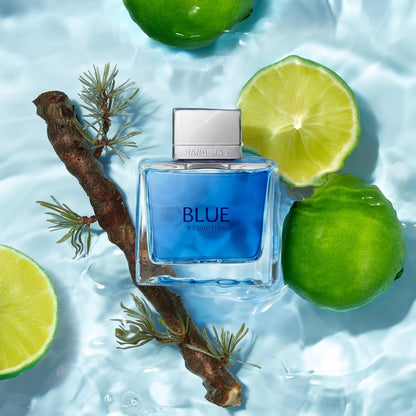 Antonio Banderas Blue Seduction Eau de Toilette Spray für Herren, 200 ml