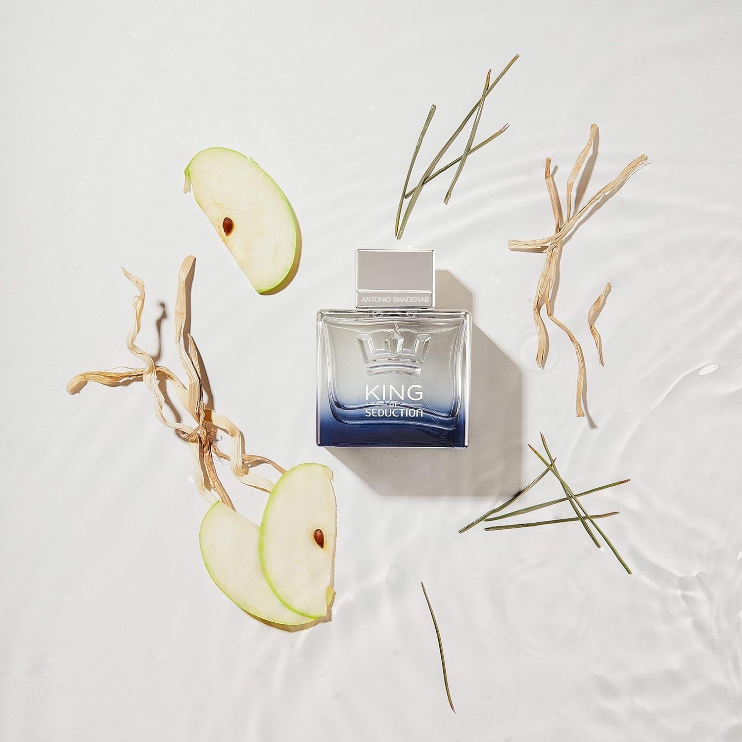 Banderas Perfumes – King of Seduction – Eau de Toilette Spray für Herren, Maskuliner, Intensiver und Energetischer Duft mit Bergamotte und Apfel – 100 ml