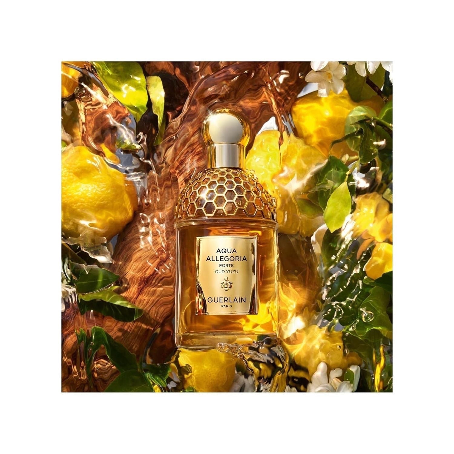 GUERLAIN Aqua Allegoria Forte Oud Yuzu Eau de Parfum 75 ml