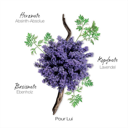 Mauboussin - Pour Lui - Eau De Parfum Mann - Duft Fougere & Modern - 100ml