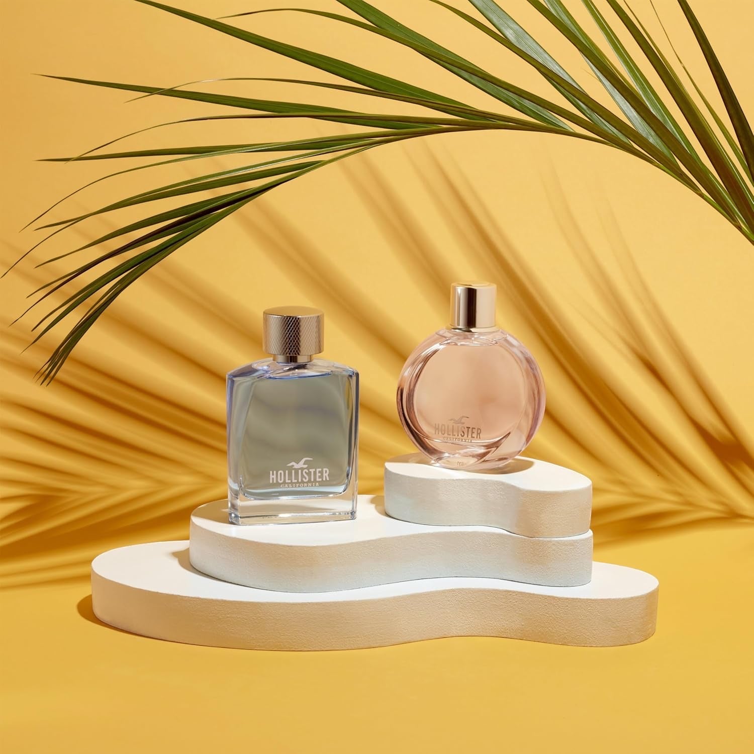 Hollister Eau de Cologne für Männer 1er Pack (1x 100 ml)