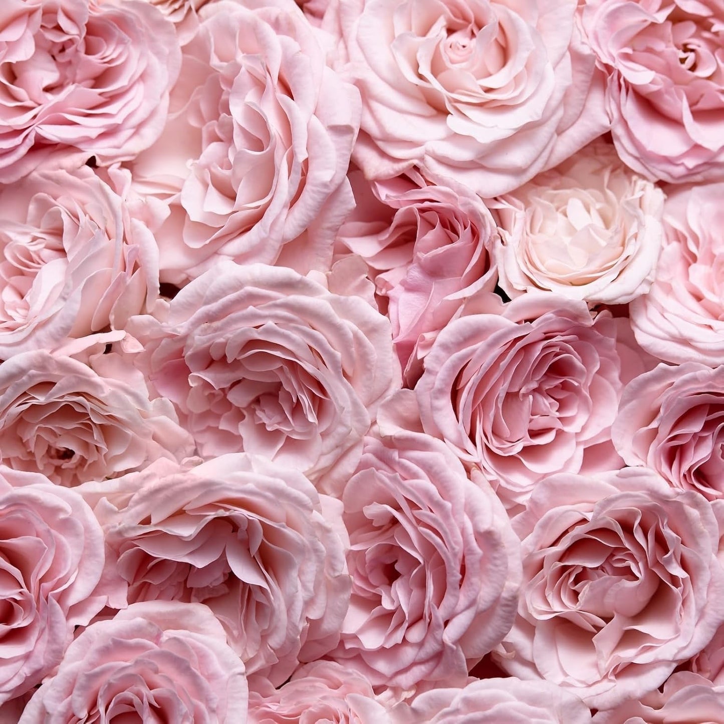 Escada Especially Eau de Parfum, frisch-blumiger Damenduft für glamouröse Frauen