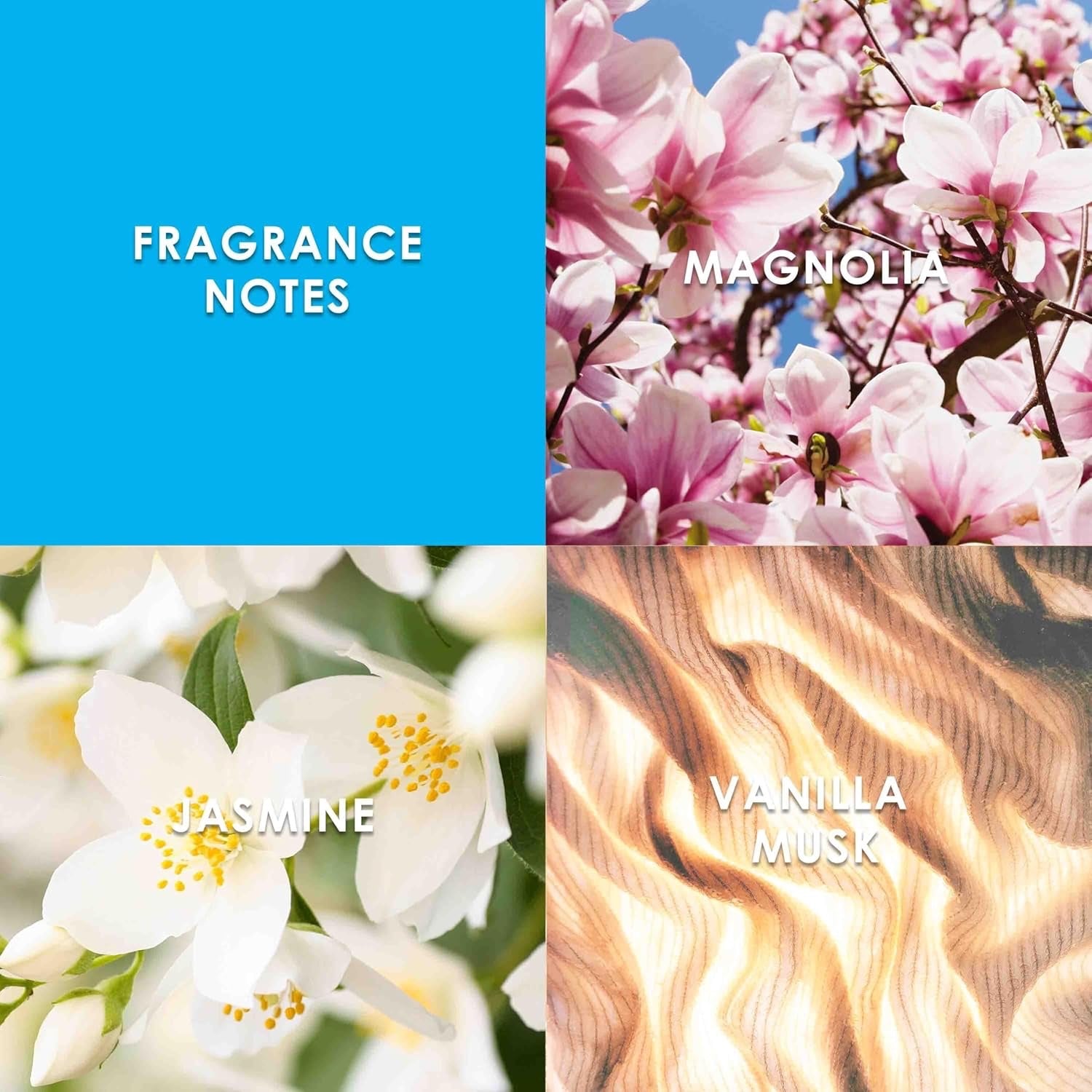Britney Spears Curious 100 ml – Eau de Parfum für Damen – Weißer Blumenduft – Noten von Magnolie, Jasmin und Vanille-Moschus – Parfum Damen – Aqua-Glasflakon