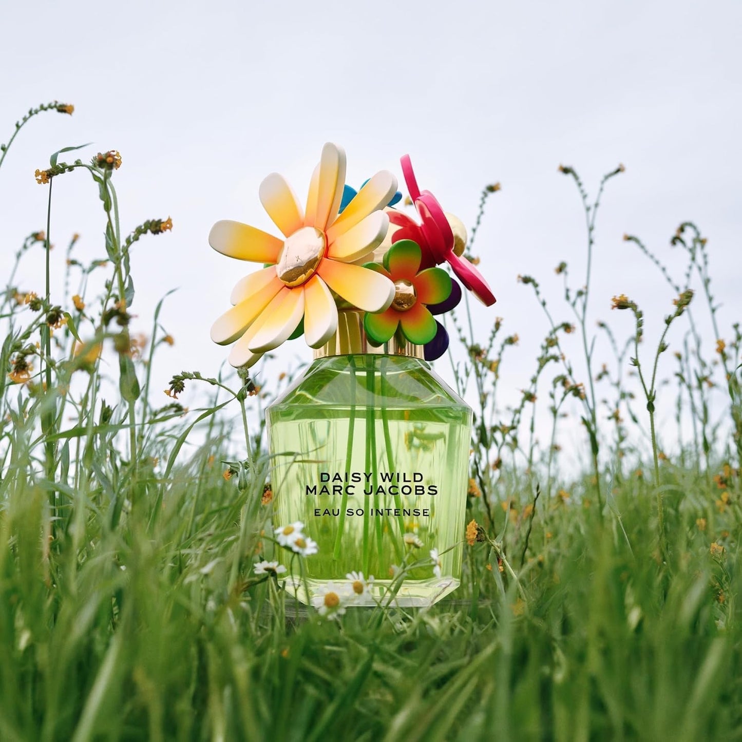 Daisy Wild Eau So Intense EDP 50ML