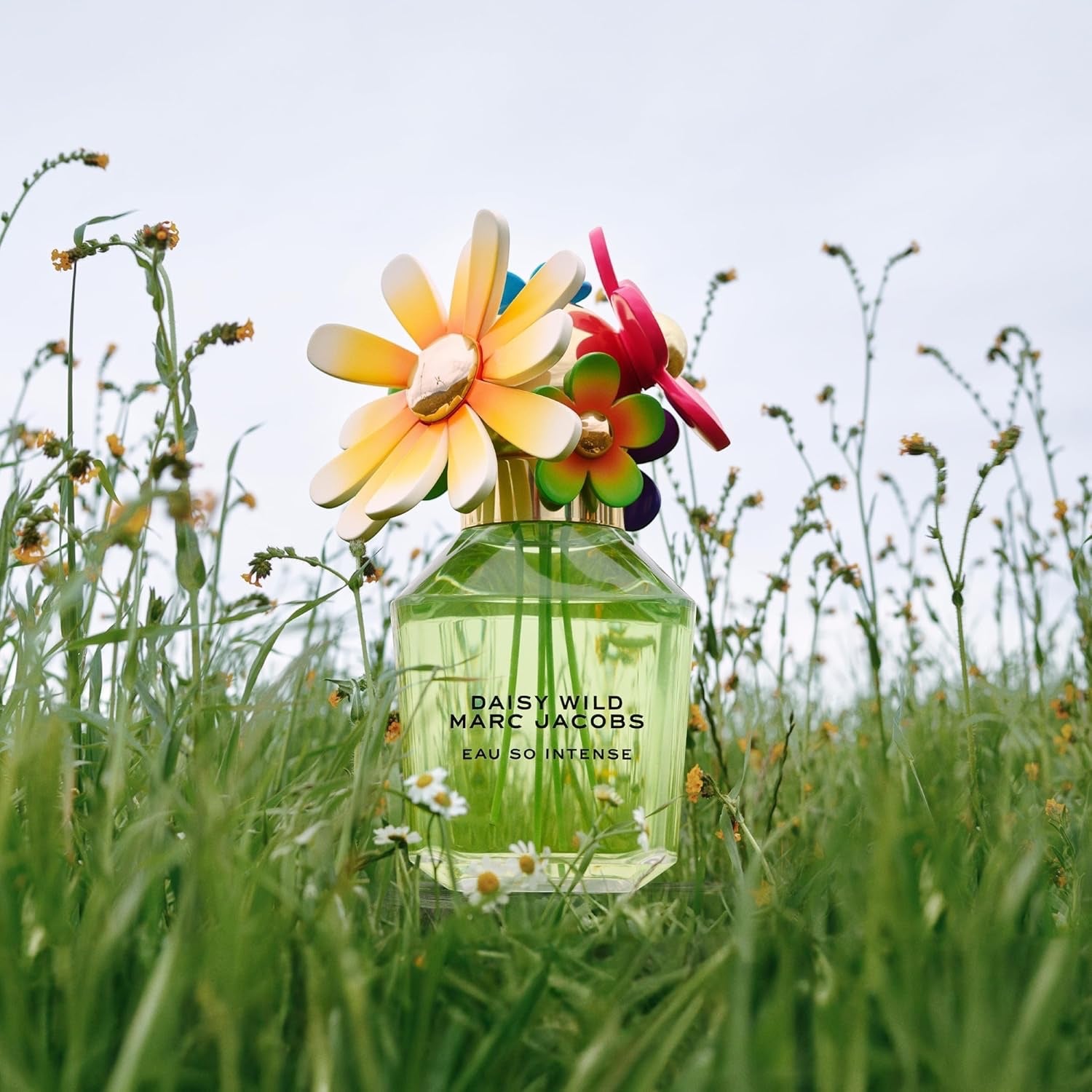 Daisy Wild Eau So Intense EDP 50ML