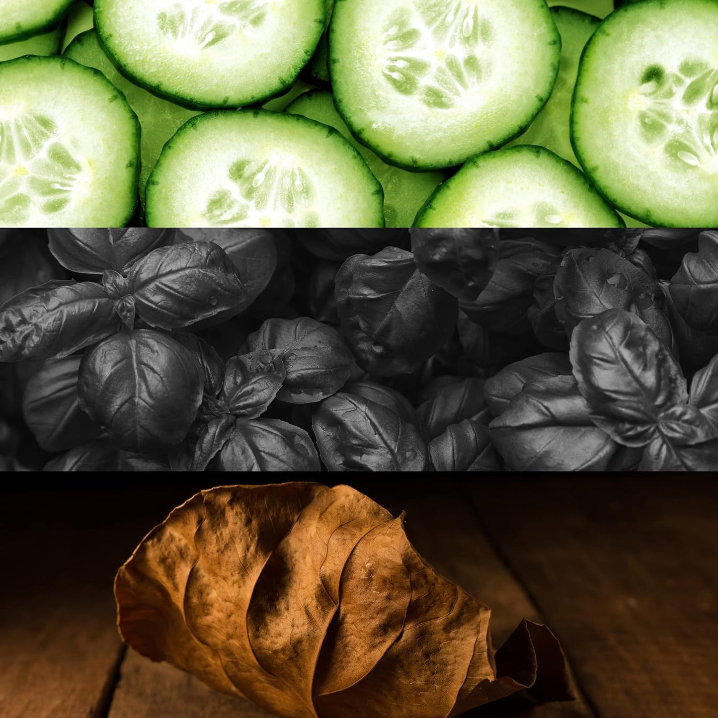 Calvin Klein CK Shock for him Eau de Toilette Spray 100 ml