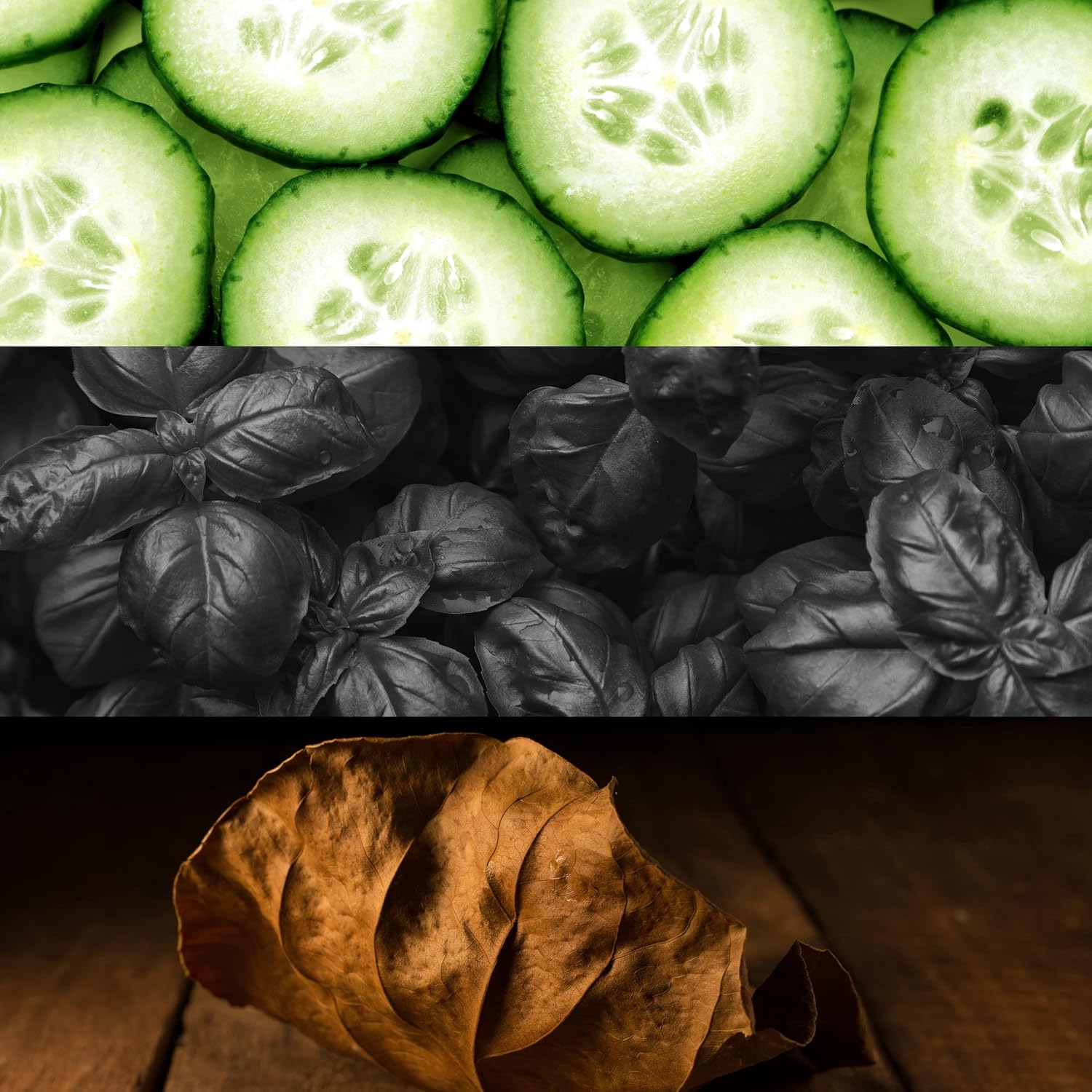 Calvin Klein CK Shock for him Eau de Toilette Spray 100 ml