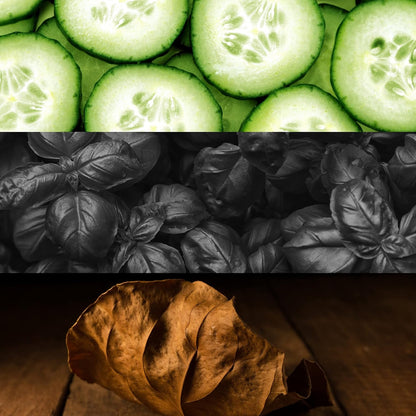 Calvin Klein CK Shock for him Eau de Toilette Spray 100 ml