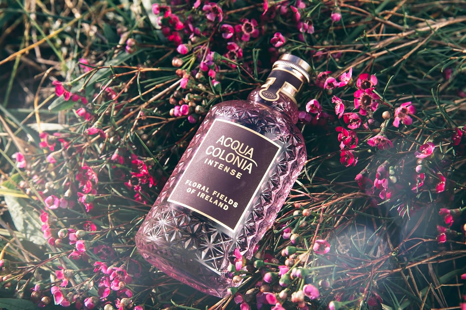 4711 Acqua Colonia® Intense Floral Fields of Ireland | Eau de Cologne - feminin-romantisch - Wellness für die Sinne | 50ml Natural Spray