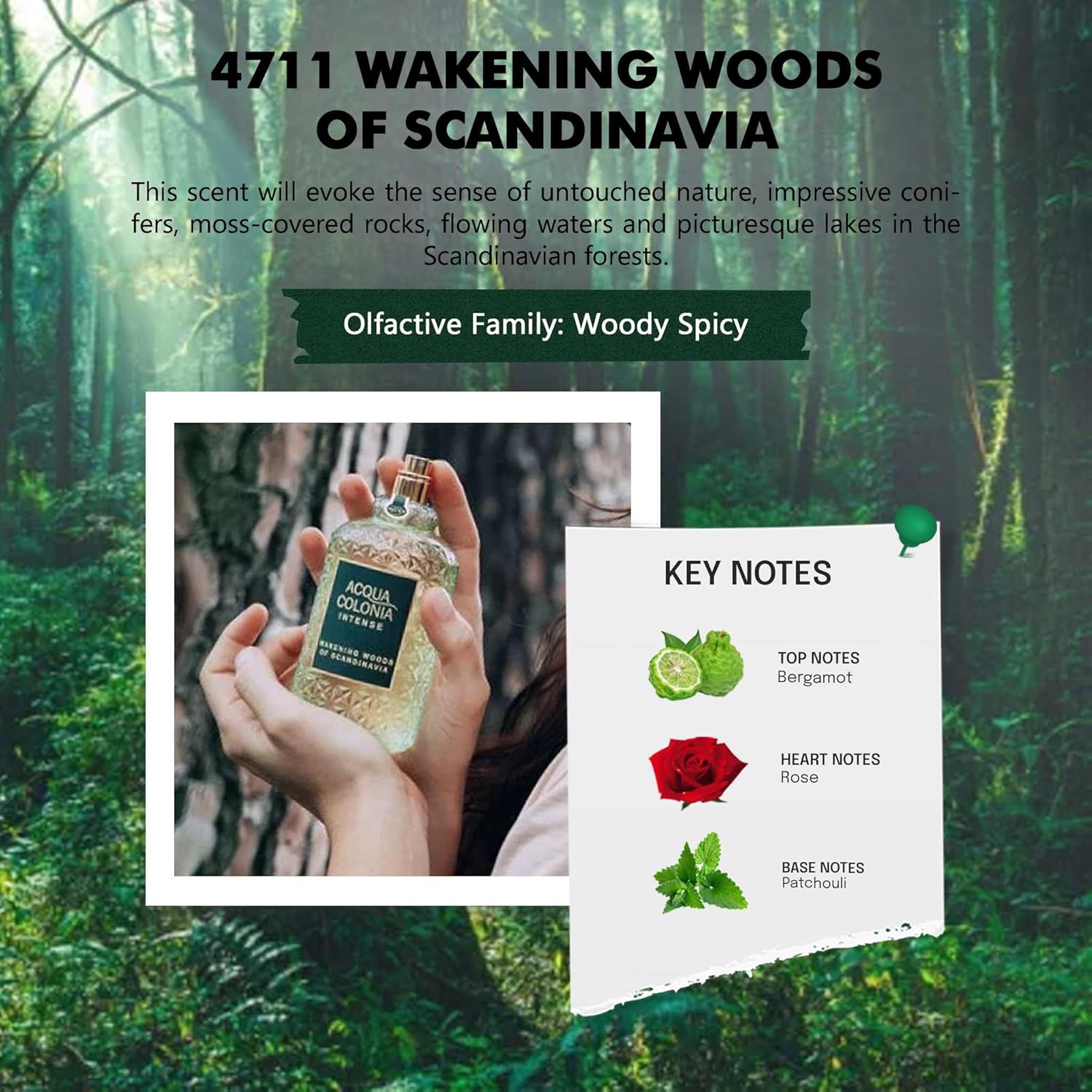4711 Acqua Colonia® Intense Wakening Woods of Scandinavia | Eau de Cologne - aromatisch-holzig - Wellness für die Sinne | 50ml Natural Spray