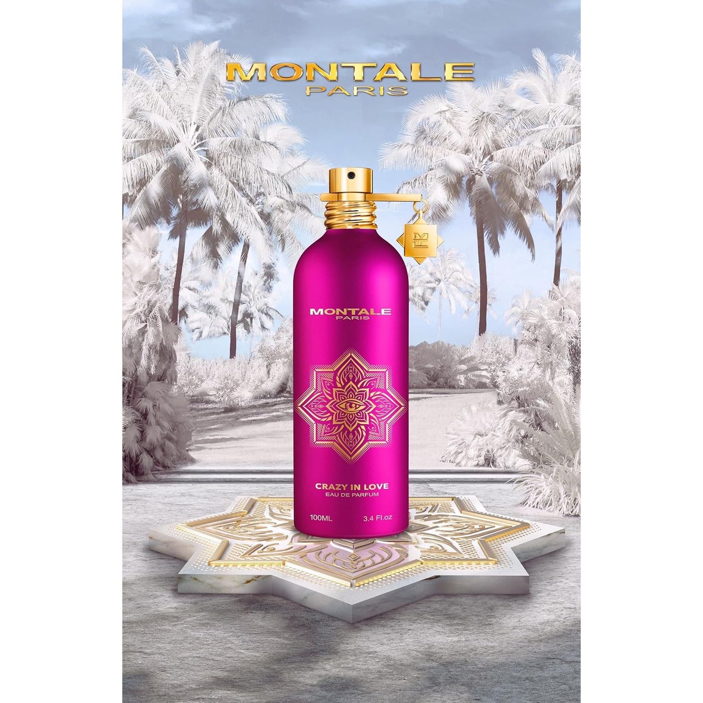 Montale Paris dark vanilla epv 100ml
