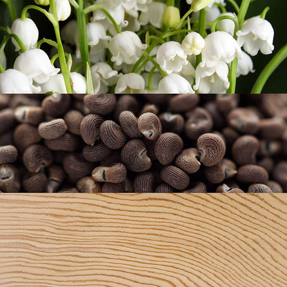 Calvin Klein Beauty Eau de Parfum, 50 ml