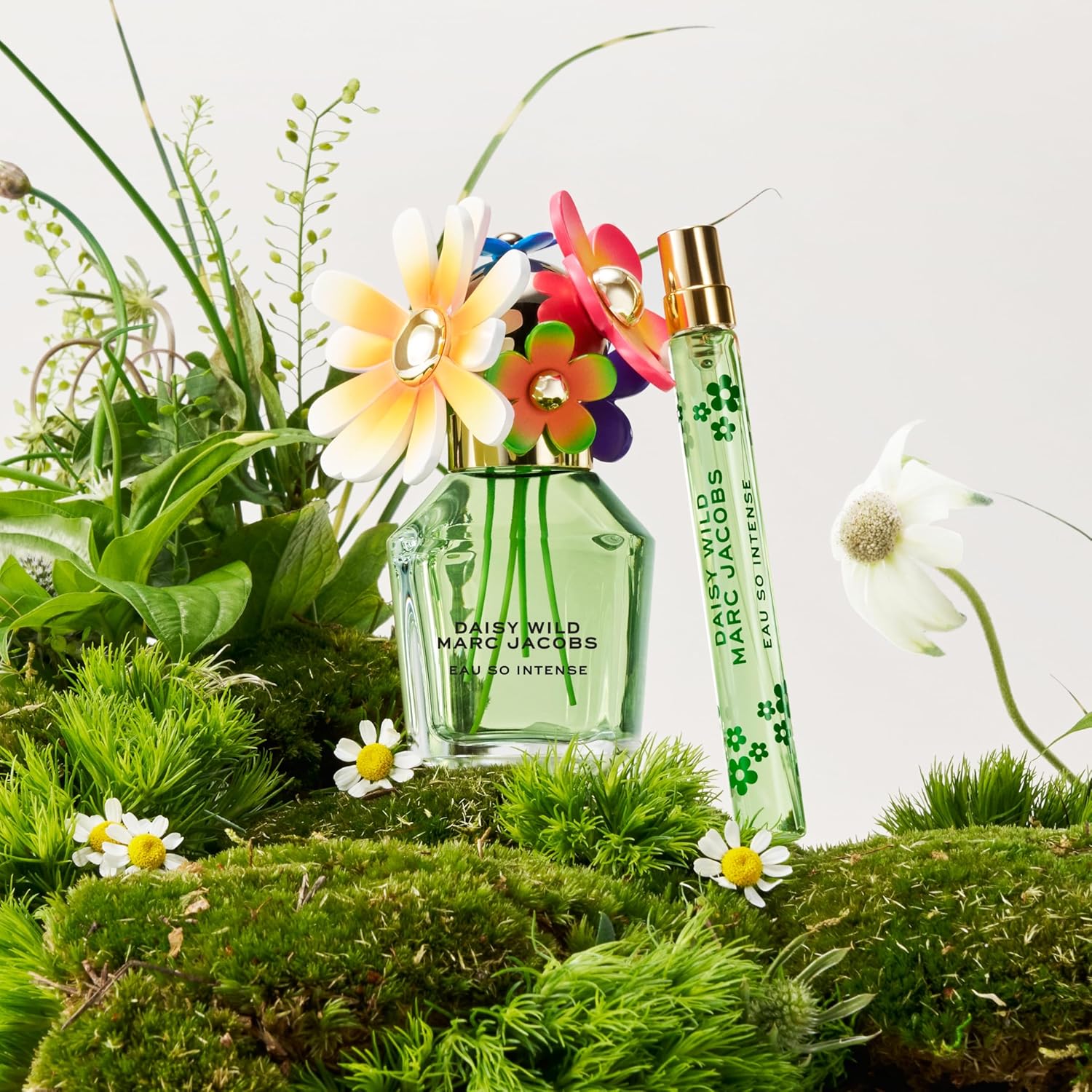 Daisy Wild Eau So Intense EDP 50ML