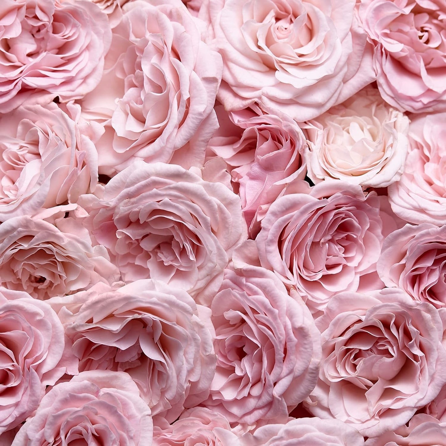 Escada Especially Eau de Parfum, frisch-blumiger Damenduft für glamouröse Frauen