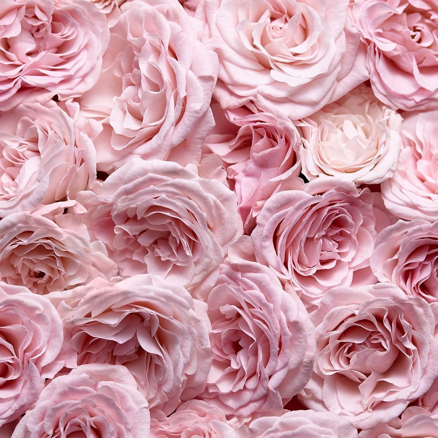Escada Especially Eau de Parfum, frisch-blumiger Damenduft für glamouröse Frauen