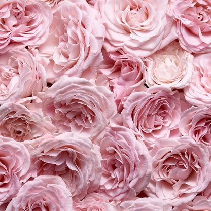 Escada Especially Eau de Parfum, frisch-blumiger Damenduft für glamouröse Frauen