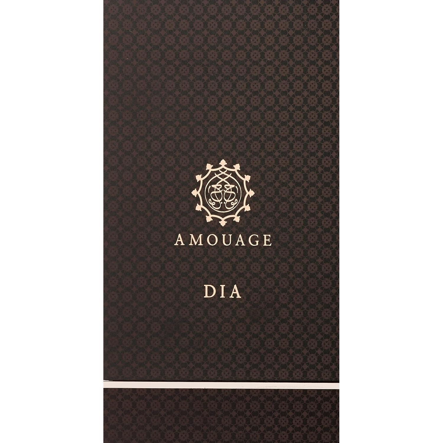 Dia Man Edp Vapo 100 Ml