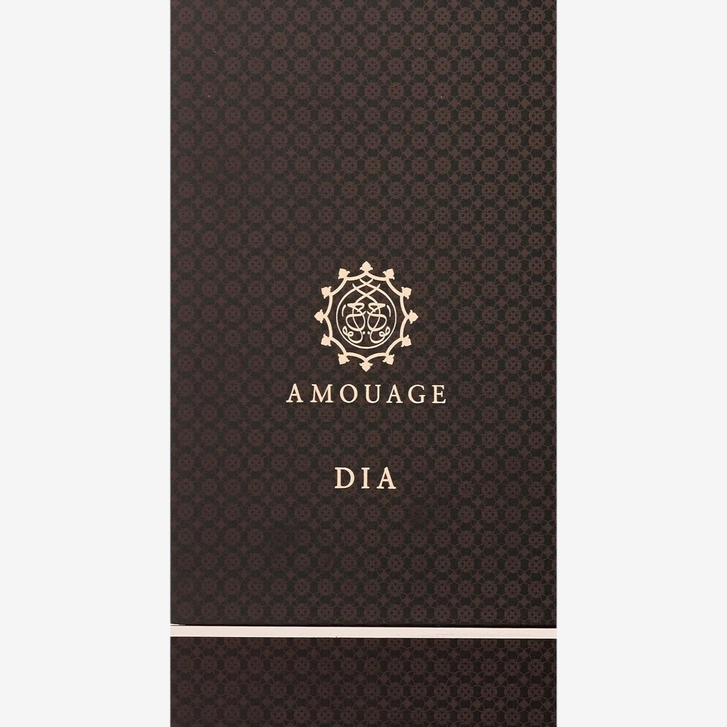 Dia Man Edp Vapo 100 Ml
