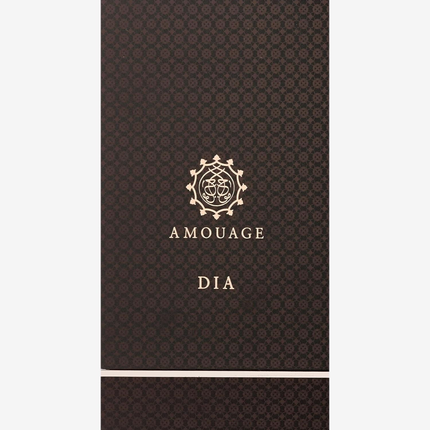 Dia Man Edp Vapo 100 Ml