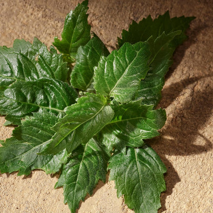 Dolce & Gabbana Devotion Eau de Parfum für Herren, 50 ml, Marke: Dolce & Gabbana - EAN: 8054754404739