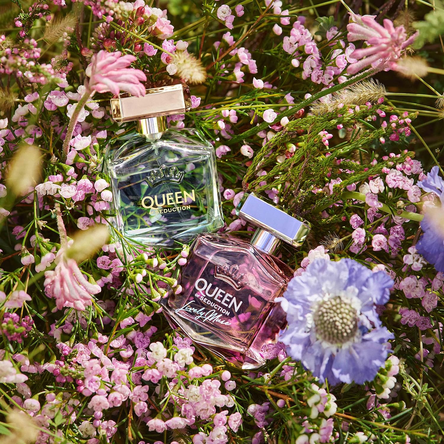 Banderas – Queen of Seduction, Lively Muse – Eau de Toilette Spray für Frauen, Blumig-Fruchtig Duft – 50 ml / 1,7 Fl Oz