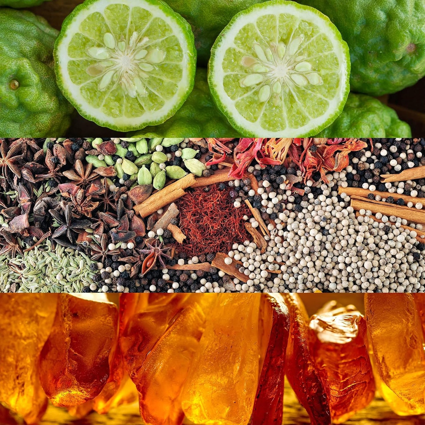 Calvin Klein Obsession Eau de Parfum for Women