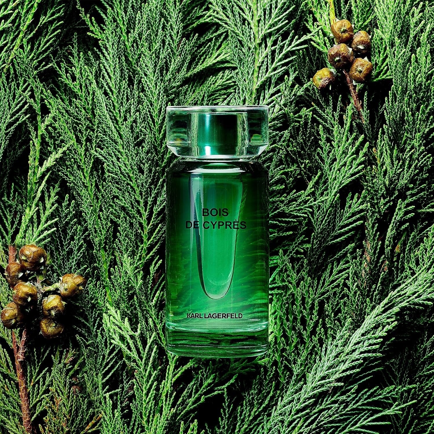 Karl Lagerfeld Bois de Cyprès EdT, Linie: Les Matières Base, Eau de Toilette, Größe: 50ml
