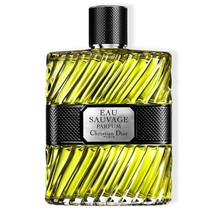 Dior Parfümwasser für Männer 100 ml